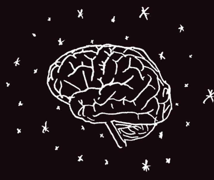 Boltzmann Brain